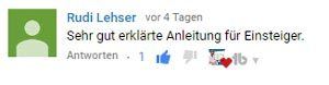 wperfolg-wordpress-youtube-kommentar-1