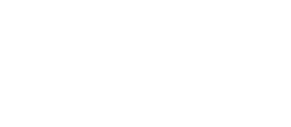 wperfolg-logo-weiß-600x262